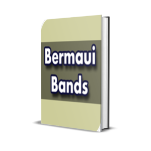 Bermaui Bands MT4