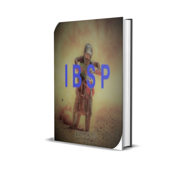 MT5 Instrument Backtester